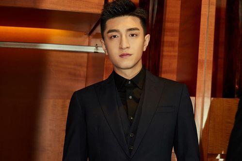 明星陈俊杰,星光璀璨的演艺之路