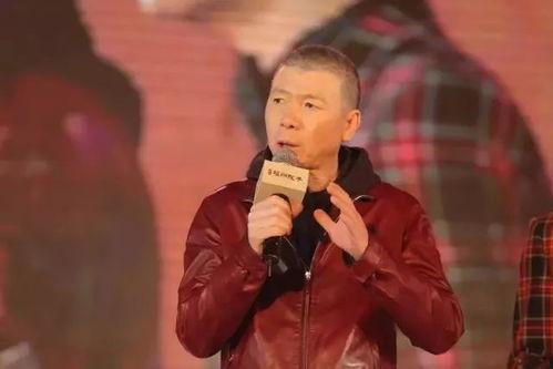 泰禾 明星,璀璨星光下的地产传奇