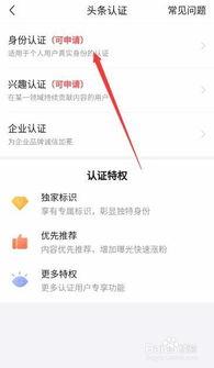 头条认证记录怎么弄,nn1. 突出认证成就：n   - 头条认证达人，实力见证！nn2. 强调专业领域：n   - 领域专家，头条认证，专业权威！nn3. 突出内容特色：n   - 头条认证文章，深度解析，不容错过！nn4. 结合热点话题：n   - 头条认证，紧跟热点，深度解读！nn5. 简洁版：n   - 头条认证，精彩内容！nn请根据具体内容选择合适的副标题。以下是一个具体的结果：nn- 头条认证达人，领域深耕，专业分享！