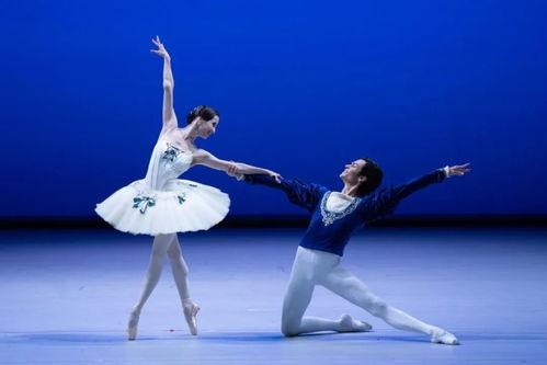 芭蕾的明星,舞动舞台的璀璨星辰