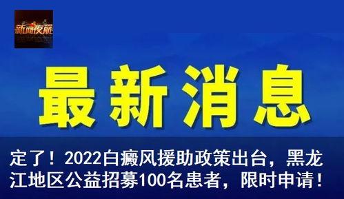 龙江新寨新闻今日头条,聚焦乡村振兴新篇章