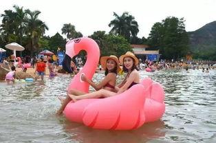 网红玩水,清凉一夏尽享欢乐时光