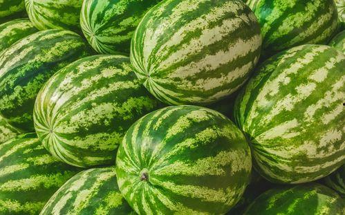 今日大瓜51吃瓜在线,揭秘今日大瓜，带你领略娱乐圈风云变幻