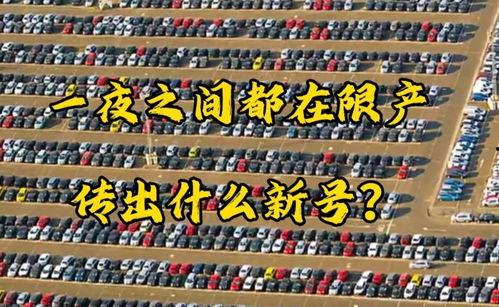 今日头条柚子像素画,捕捉光影，绘就梦幻世界