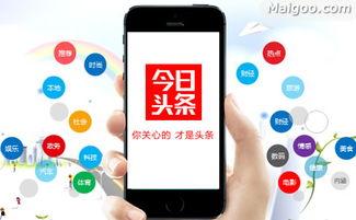 头条去年广告费用,洞察行业趋势与增长动力