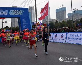 安徽砀山梨园新闻头条