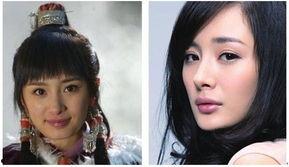 整容明星失败案例,揭秘失败案例背后的代价