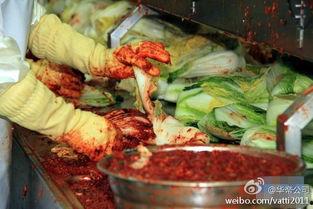韩国泡菜爆料视频,独家爆料视频带你领略传统美味