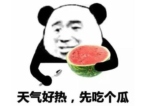 吃瓜表情啥意思是什么,网络热词背后的文化内涵